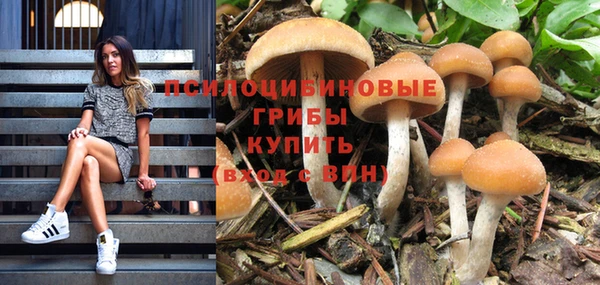 бошки Алзамай