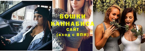 мдпв Протвино