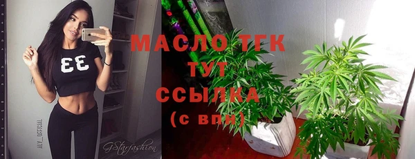 мдпв Протвино