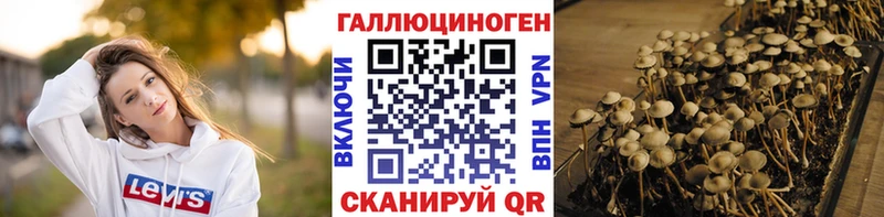 Псилоцибиновые грибы Psilocybine cubensis  мега ссылки  Карачев 